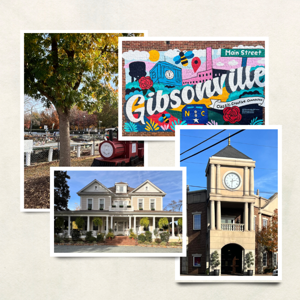Area highlights for Gibsonville-NC